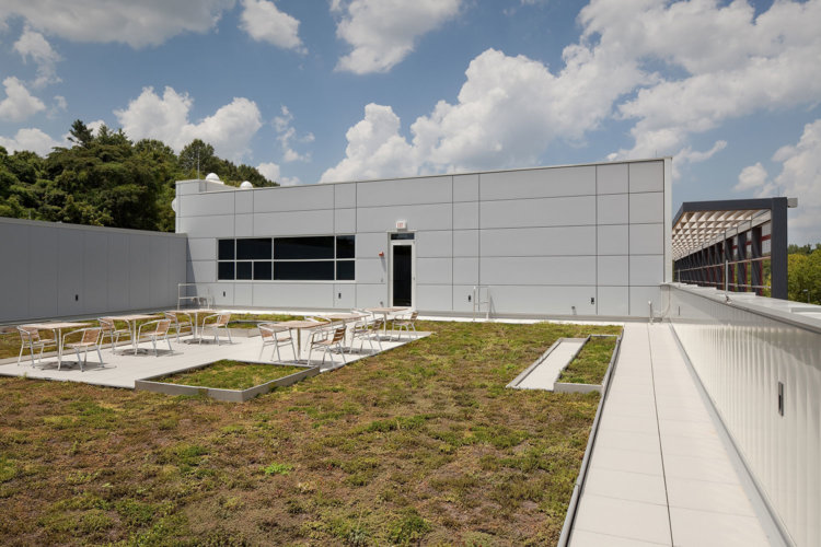 0109-PNG-N-Green-Roof